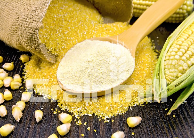 MAIZE FLOUR