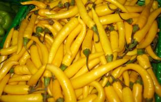 Yellow Chilli at Best Price in CHENNAI - ID: 3922644 | OCEAN INTERNATIONAL