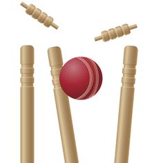 Cricket Stumps with Bails