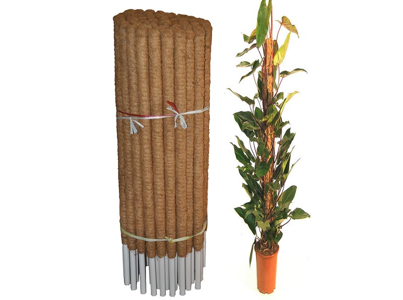 Coir pole