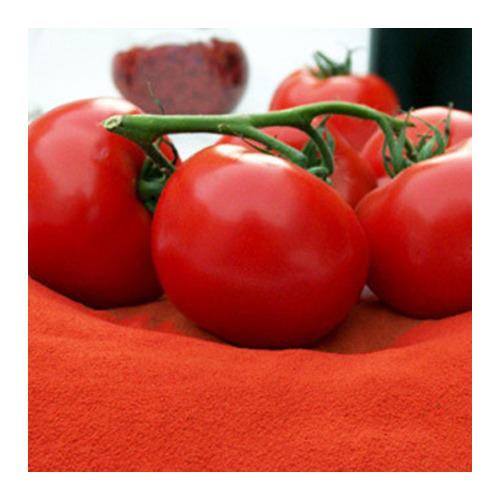 Spray Dried Tomato Powder, Packaging Type : 10-20kg, 20KG