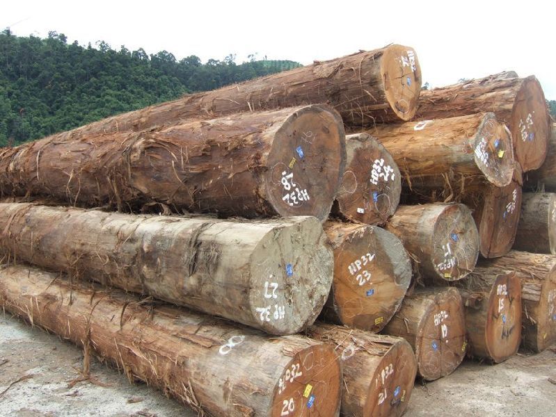 Mahogany Wood Logs