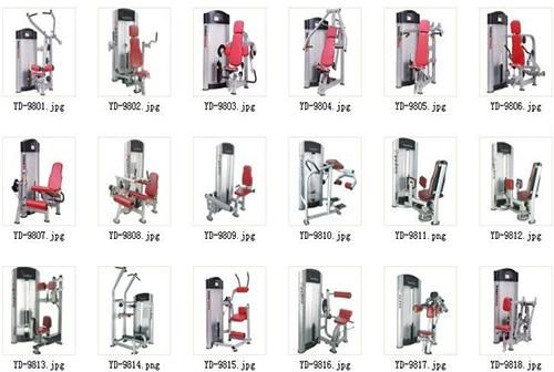 Horizontal Leg Curl Training Machine