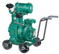 Diesel Monoset Pumps