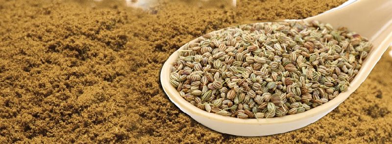 Ajwain Seeds and Powder, Purity : 99%
