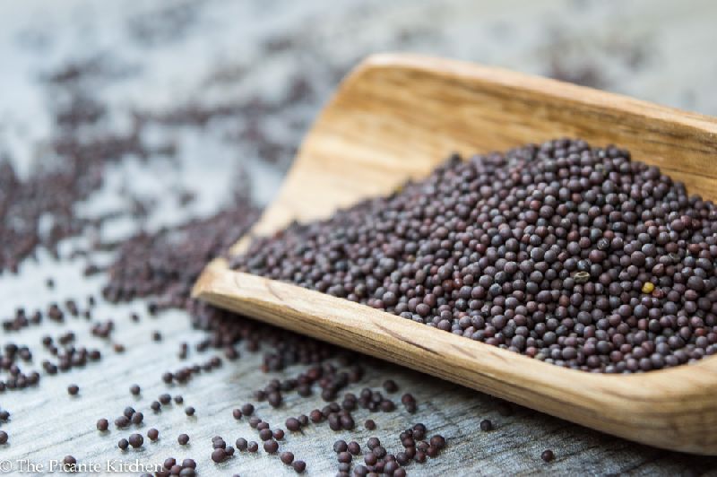 Best Quality Mustard Seeds