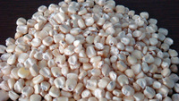 KGCPL Common white maize, Style : Dried