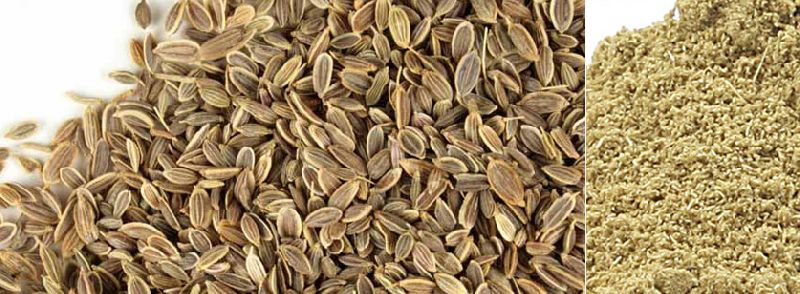 Dill Seeds & Powder, Color : Natural yellow brown