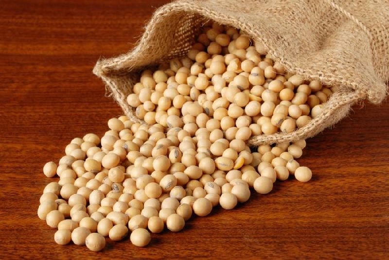 Non-GMO Soybean Seeds