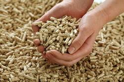 Organic biomass briquettes, Certification : ISO 9001:2008 Certified