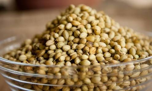 coriander seeds