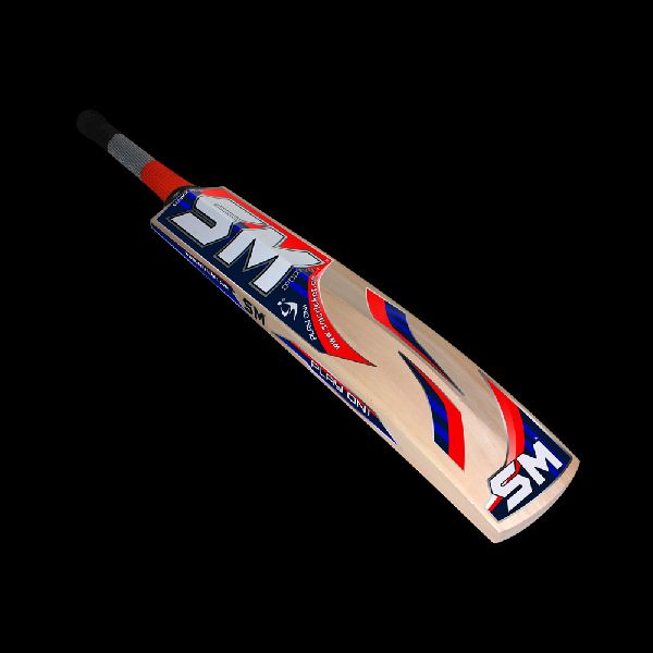 Retailer of Kashmir Willow Bats sm cricket, Meerut