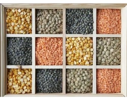 organic pulses