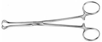 Babcock Forceps