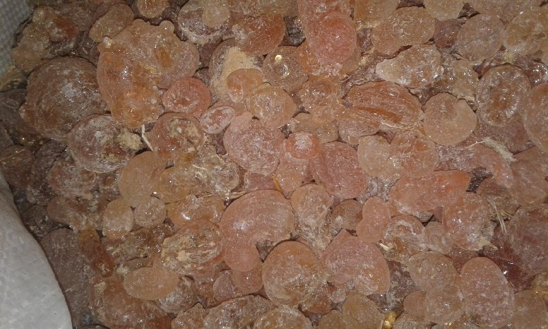 gum-arabic-by-daygreen-gum-seeds-gum-arabic-from-ndjamena-chad-id