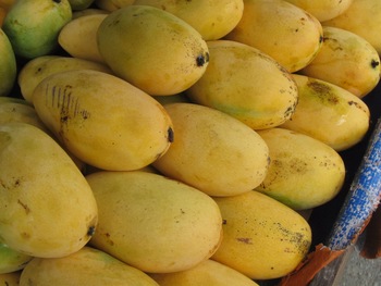 Fresh Dashehari Mango