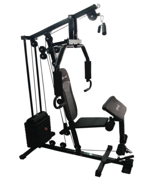Retailer of Home Gym Equipment from Delhi, Delhi by BODY GYM INDIA