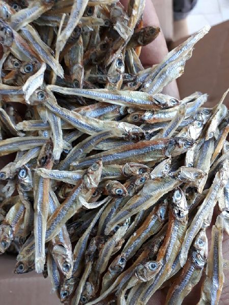 Dried Indian Anchovy