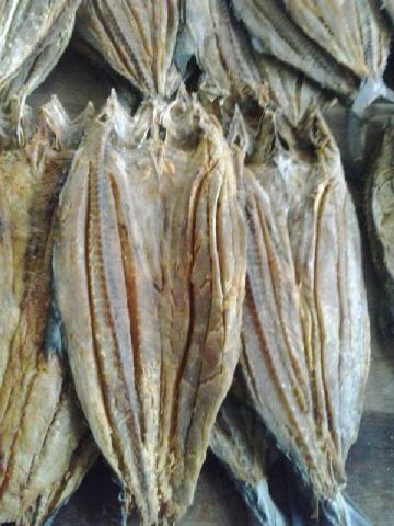 Dried Salted King Fish