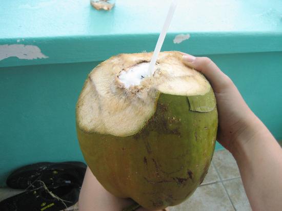 Fresh Coconut Water