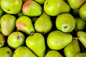 Fresh Sweet Pears