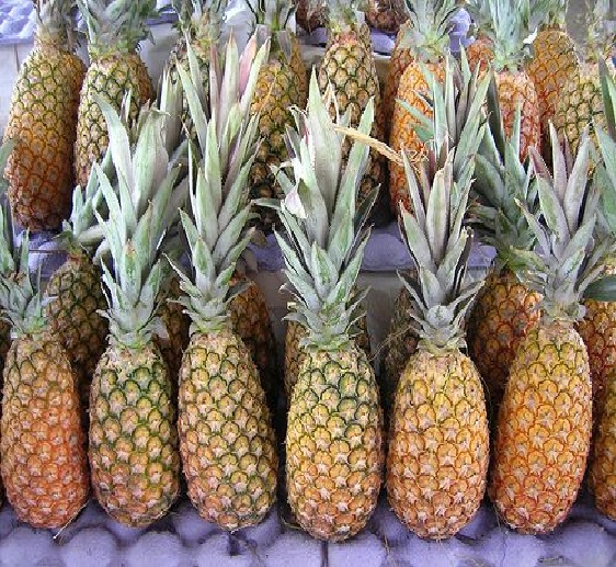 Fresh Sweet Pineapples