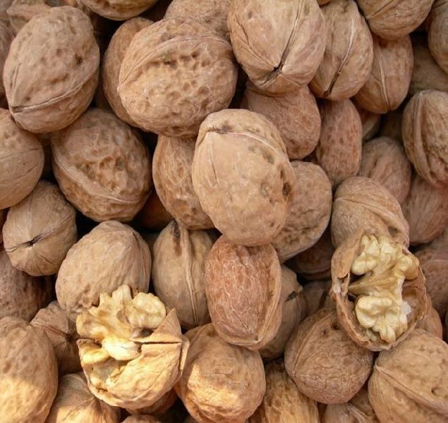 Raw Dried Walnut Kernels