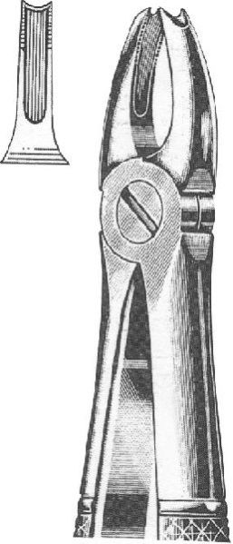 Medical Extracting Forceps