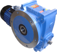 Worm Geared Motor