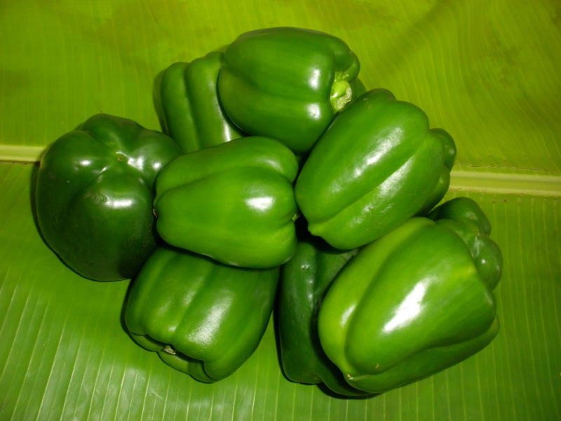 fresh green capsicum