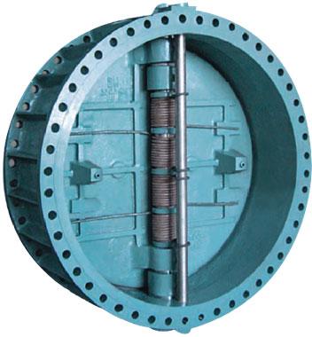 Dual Plate Check Valves