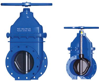 resilient seated gate valves