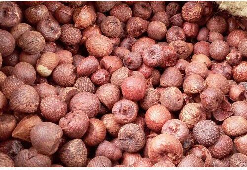 Betel Nuts or Areca Nuts