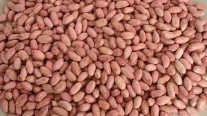 raw peanut kernel