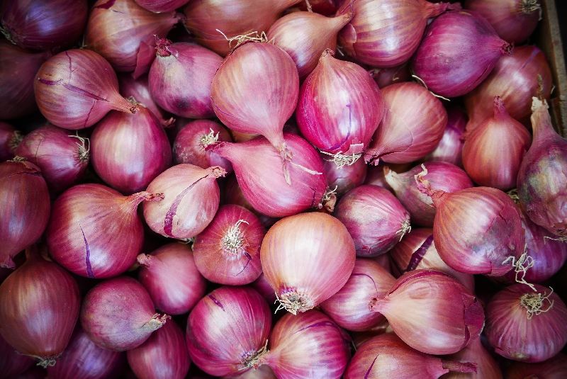 fresh onion