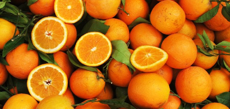 Fresh orange, Taste : Sweet