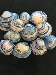 Painted Sea Shells