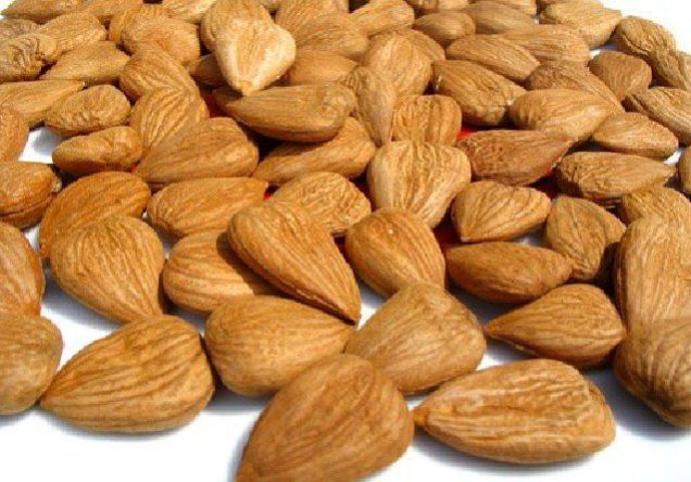Raw Apricot Kernels