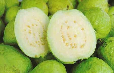 fresh guava