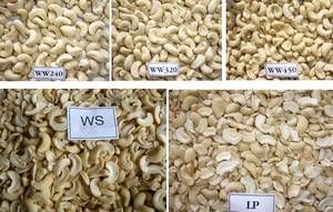 Cashew Nuts w240