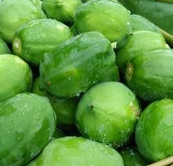 Fresh Papaya Superior Grade A