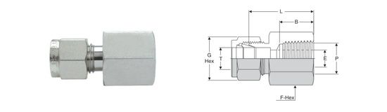 Bulkhead Fitting