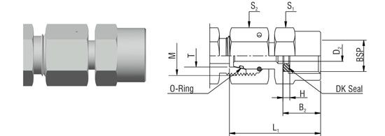 Gauge Fittings