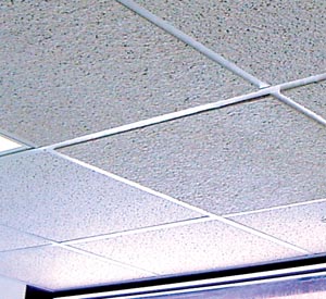 Acoustical Ceiling Tiles Manufacturer In Delhi India By Kingston