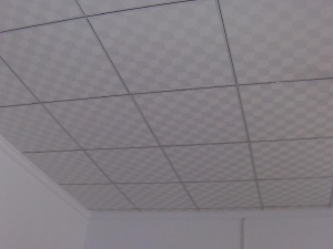 Gypsum Ceiling Panel