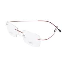 titanium optical frame