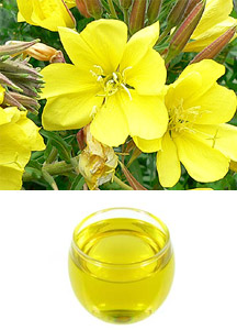 Evening Primrose Oil