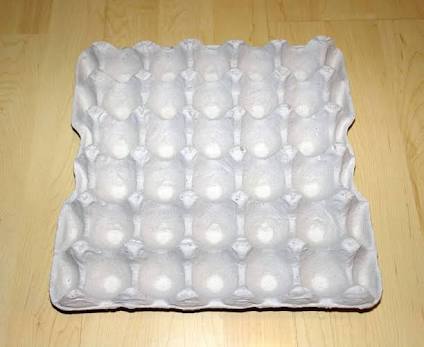 30 Eggs Pulp tray