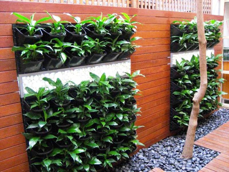 vertical Gardening/ Green Wall