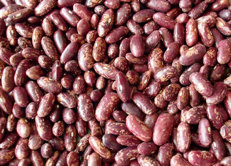 Speckled Kidney Beans